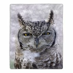 Best deal ๐ Multi-Color Owl Print Sherpa Fleece Blanket by Lavish Home ๐ 5 Best deal ๐ Multi-Color Owl Print Sherpa Fleece Blanket by Lavish Home ๐ -Harper Lane Sales lavish home bed blankets 64 owl 76 1000