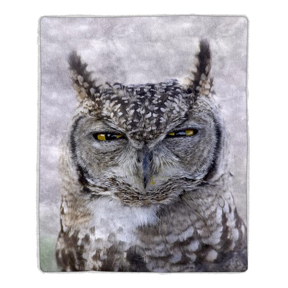 Best deal ๐ Multi-Color Owl Print Sherpa Fleece Blanket by Lavish Home ๐ 3 Best deal ๐ Multi-Color Owl Print Sherpa Fleece Blanket by Lavish Home ๐ - Image 3
